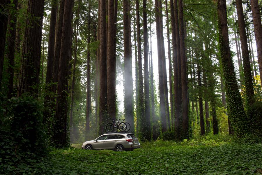  Subaru Outback 2015 года  (фото 3 из 33)
